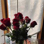 Tammy Helms - @tammy.helms.12 - Instagram