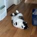 Tammy Helms - Facebook