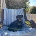 Tammy Hendricks - Facebook