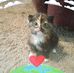Tammy Martin Hendricks - Facebook