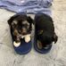 Tammy Herrington - Facebook