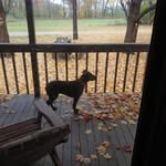 Tammy Herron - @herrontammy3 - Instagram