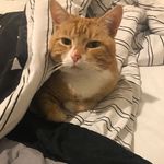 Tammy Herron - @tammy.herron.90226 - Instagram