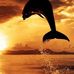 Tammy Herron - Facebook