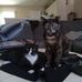 Tami Hessler - Facebook