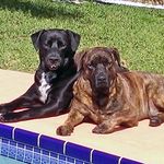 Tammy Heyward - @tammystedronheyward - Instagram