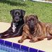 Tammy Heyward - Facebook