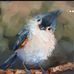 Tammy Hobson - Facebook