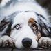 Tammy Hoffmann - Facebook