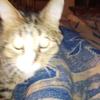 Tammy Holcombe - @tammy.holcombe1 - TikTok