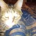 Tammy Holcombe - Facebook