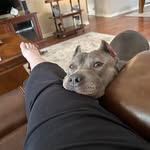 Tammy Mathis Holmes - @tammyholmes9391 - Instagram