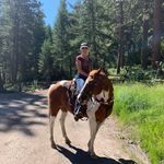 Tammy Holt - @stablethoughtscoaching - Instagram