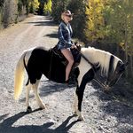 Tammy Holt Photography - @tammyholtphotography - Instagram