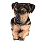 Tamara Art - @tammyhowarth.100 - Instagram