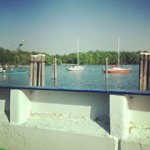 Tammy Howarth Ray - @tammyr1175 - Instagram