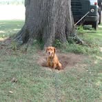 Tammy Howerton - Facebook
