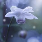 Tammy Howerton - @tamhowerton - Instagram