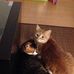 Huls Tammy - Facebook
