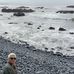 Tammy Hutt - Facebook
