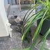 Tammy Hutt - Facebook