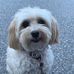 Tammy Hyatt - Facebook