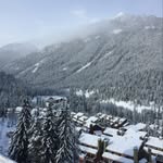 Tammy Hyatt - @tammyhyatt59 - Instagram
