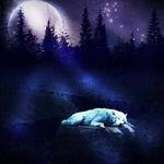 Tammy Jacobson - @tammy.jacobson.1975 - Instagram
