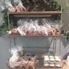 Tammy Jacobson - @tammy.jacobson8 - TikTok