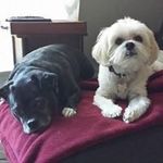 Tammy Jacobson Landon - @landontammybi_cbc_j_u - Instagram