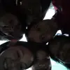 Tammy Jahnke - @tammy.jahnke - TikTok