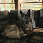 Tammy Jamison - @tammy.jamison.96 - Instagram