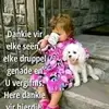 Tammy Jansen - @tammy.jansen6 - TikTok
