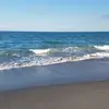 Tammy January - @tammyjanuary - TikTok