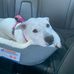 Tammy Jarman - Facebook