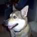Tammy Jasmin - Facebook