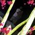 Tammy Javier Javier - Facebook