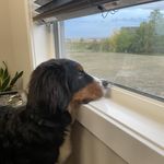 Tammy Jeffrey-Schaffel - @tammy_schaffel - Instagram