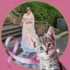 tammyjeffreywilliam - @tammyjeffreywilliamyahoo - TikTok
