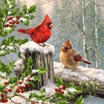 Tammy Jeffries Peters - @tammyjeffriespeters - Instagram