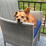 Tammy Jobe - @514tamtam - Instagram