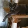 Tammy Joe - @tammyjoee - TikTok