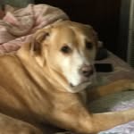 Tammy Junior - @tammyjunior66 - Instagram