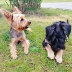 Tomasz Tomasz - @tammy_juniorek - Instagram