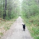 Kailey/Tammy - @lularoekaileytammy - Instagram