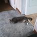 Tammy Kanniard - Facebook
