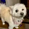 Tammy Kappes208 - @tammykappes208 - TikTok