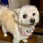 Tammy Kappes - @kappestammy - Instagram
