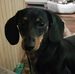 Tammy Karnes - Facebook