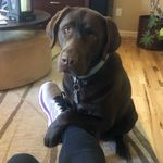 Tammy Karsten - @tammy_karsten - Instagram